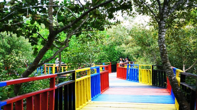 Menyelami Keindahan dan Manfaat Ekowisata Mangrove Bungkutoko